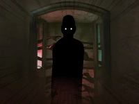 Survive The Night image