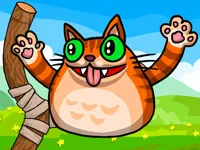 Angry Cat Shot image