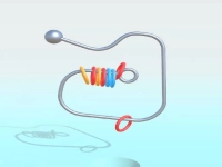 Ring It Off image