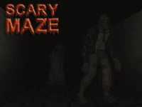 Scary Maze 3D image