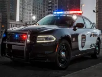 Police Cars Slide image
