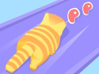 Cat Evolution image