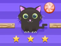 Cut For Cat Challenge image