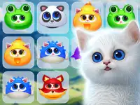 Kitty Jewel Quest image