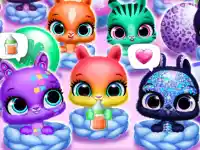 Hatch Cute Bunnies image