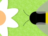Beenvaders image