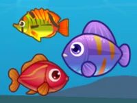 Big Fish Eat Small Fish 2 image