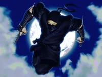 Ninja Defender image