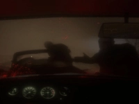 Spooky Jungle Safari image