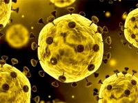 Coronavirus Slide image